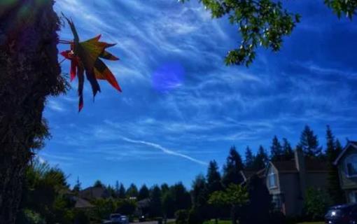 ����(ji��)��߀����՚�᣿����(ji��)�^��ʲô���m