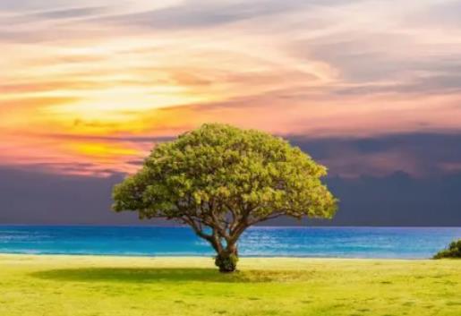 2024�걱�����·������ǟ᣿���·ݱ���������ů��