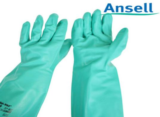 ʮ���t������Ʒ�����а�����˹���׺ܕ��N�����R˹����ȫ���I��