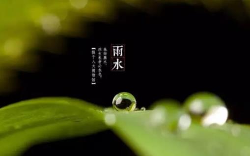 �K�ݻ�����טǲ���Ӱ푣�2024���K���л������