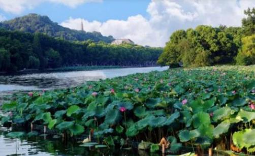 5�·�ȥ����ע��ʲô������ʲô�r���M������