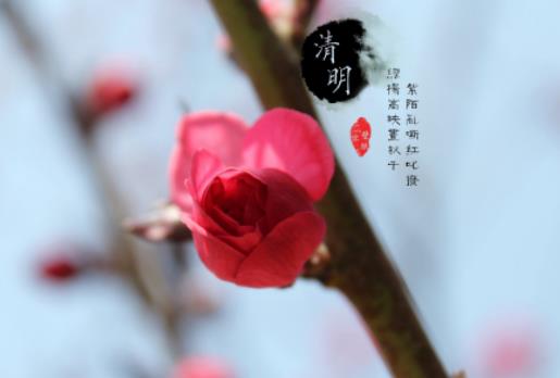 2024���Ϻ���ʿ���������˶��᣿2024���Ϻ�������߀�䲻��