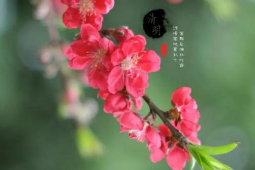 �Ϻ���ʿ���m���m��������ȥ�棿�Ϻ������������ô��