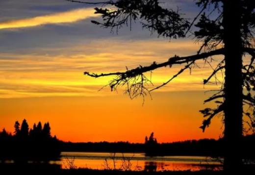 ����ɳ�m��һ�����Ă����������������AӋ�ж���