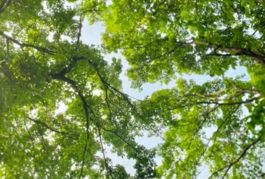 5�±��������һ��ʲô��r������5�·��Ǵ���߀������