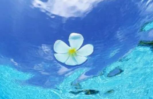 ���·ݵı���һ����ʲô��⣿����ɳ�m��ÿ��l(f��)���r�g��ʲô�r��