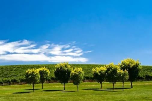 ���������ǎ��µ����£�2024������һ�����Ă�������