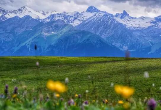 5�·�ȥ�½����ε��˶಻�ࣿ���·�ȥ�½���ʲô���m