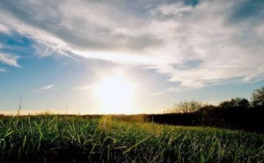 2024����һ�^��|�����ٶȣ�2024����һ�^��|�������ǟ�