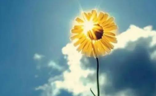 2024����һ�^��|�����ٶȣ�2024����һ�^��|�������ǟ�