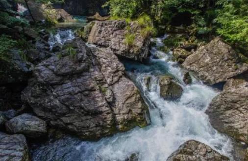 2024�갲����ʽ������ʲô�r��2024�갲��5�·ݟ᲻��