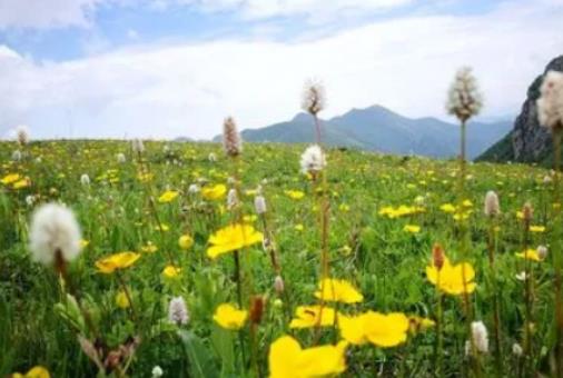 2024���K�������߀���Ͼ�����᣿�Ͼ�������һ�����