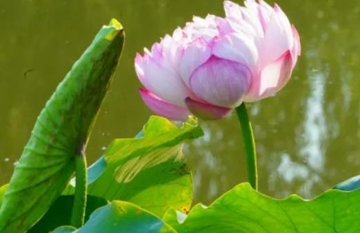 �Ͼ��Ě����K�ݲ��᣿�Ͼ�2024���������ϰ��c����ˆ�