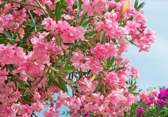 ��h5�·ݴ�ʲô�·�����h���������������