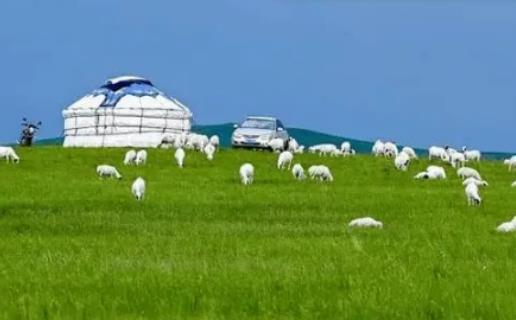 2024����ɹ����·ݲ�ԭ�в��ˆ᣿2024����ɹ�5�·������ˆ�