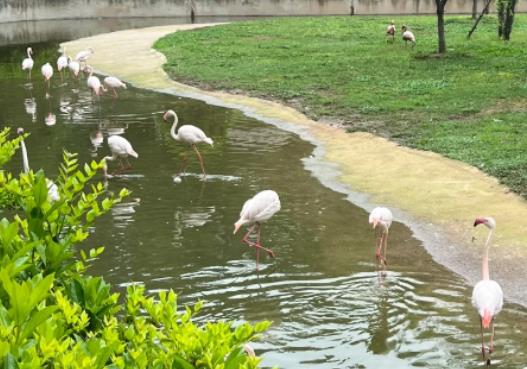 ��hҰ�����������д���؈�᣿��hҰ�������������Ԏ����}����