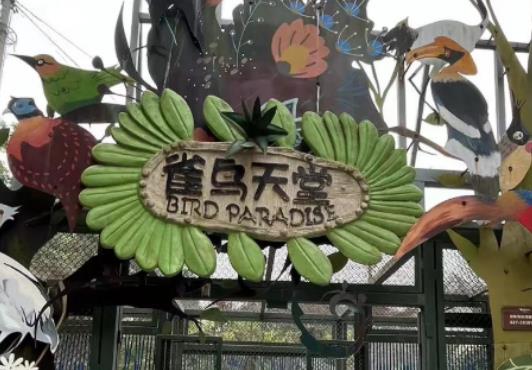 ��hҰ�����������Ą��ﶼ��Щʲô����hҰ����������ͣ܇�����