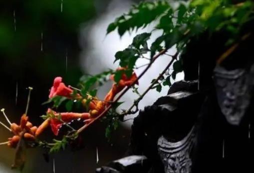 �Ϻ���÷�꼾���ǎ��µ��������Ϻ�ʲô�r����÷�꼾