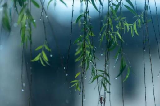 �Ϻ���÷�꼾���ǎ��µ����£��Ϻ�ʲô�r����÷�꼾