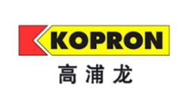 ʮ�������TƷ�����У����������T�ǚW���Ј��I���ߡ�韸������T�����N��