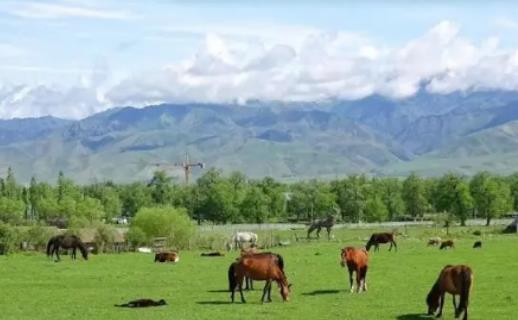 7�·��½��Ě�����ӣ�7�·�ȥ�½���ô��