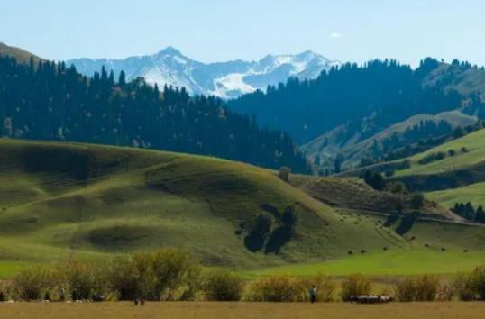 7�·��½��Ě�����ӣ�7�·�ȥ�½���ô��