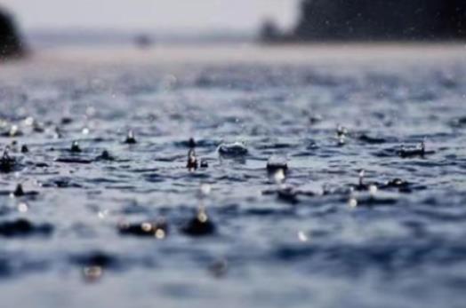 �Ͼ�6�·���÷�꼾���᣿2024���Ͼ�6�·�һ����ٶ�