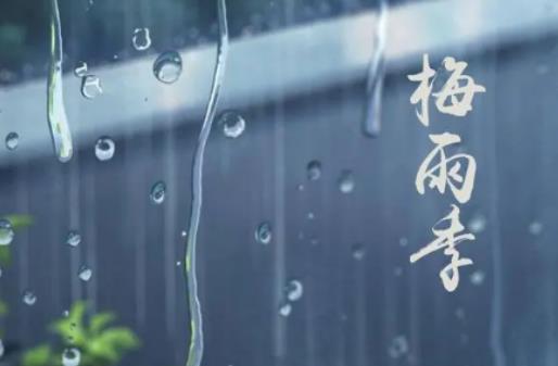 �Ͼ�÷�꼾���Ўׂ��£�6�·��m�����Ͼ�������