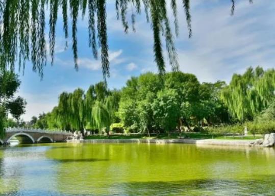 ����8�·������ô�ӣ�8�·�ȥ�������˶಻��