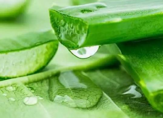 ���r�J�C���u������Է�Ę�᣿���r�J�C����Ę��