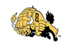 ʮ��ԭ�{ơ��Ʒ�����а��ྩơ���Ј�ռ���ʸߡ�����ԭ�{ơ���N����