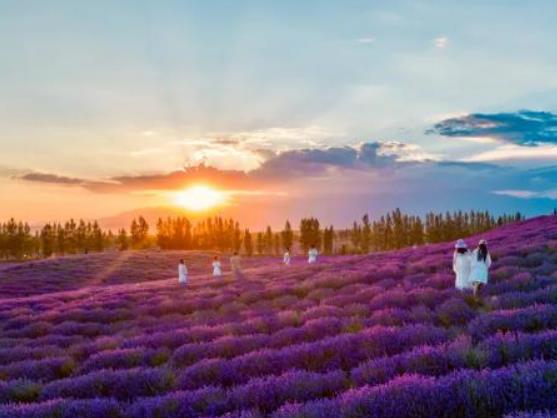 �ɿ��к�������᣿�½����绨������