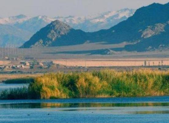 �ɿ��к��������������ξ��c����Щʲô�ط�