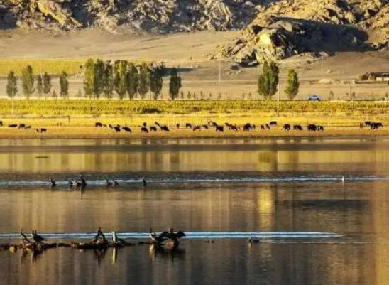 �ɿ��к��������������ξ��c����Щʲô�ط�