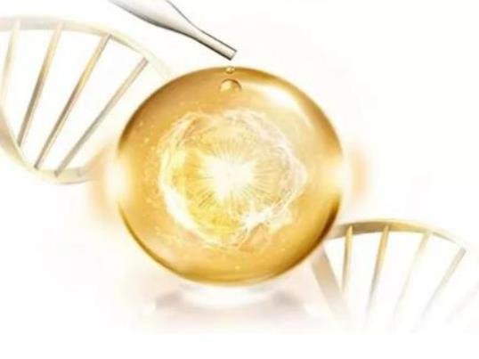 ������ԭҺ�����ö���ʲô����Ƥ�w�m���ß�������