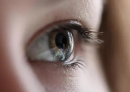 ȥ���|����ʲô��̎�أ����|�ӱ�Ƥ�w����ô�k