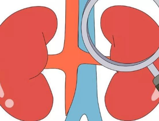 ����������I�Y(ji��)ʯ�᣿�I�Y(ji��)ʯ���Գ���l��