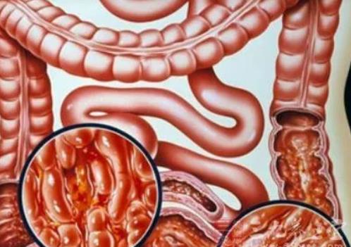 �����ԽY�c������Щ�ȼ��������ԽY�c���ܺȲ��