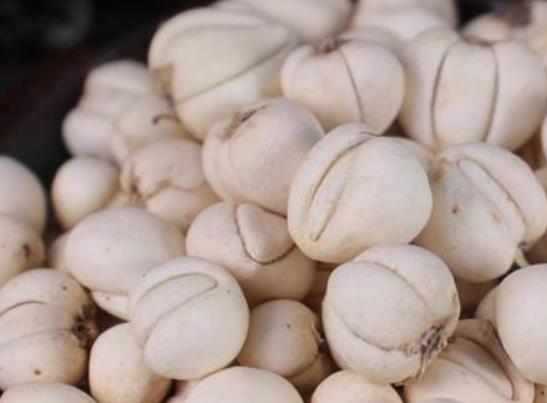 �L(f��ng)����ð���ԳԴ�ؐ���˸��᣿�Դ�ؐ���˸಻�ܳ�ʲô