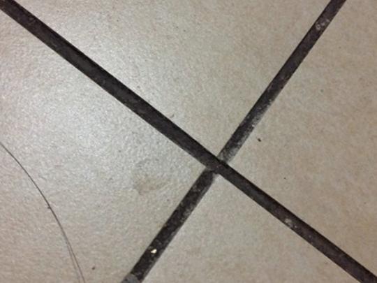 ʮ��ɴu���p��Ʒ�����а񣬰ٵôɴu���p�����¸ߴɴu���p���|�кܺ�