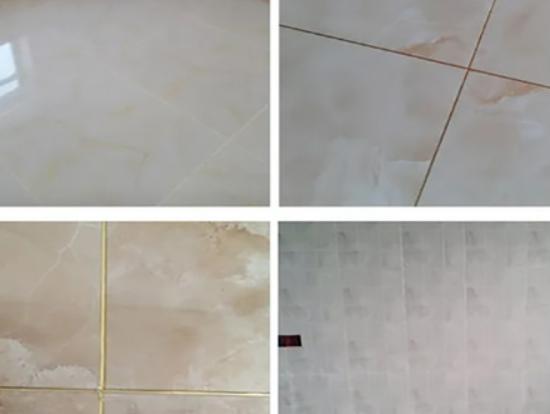 ʮ��ɴu���p��Ʒ�����а񣬰ٵôɴu���p�����¸ߴɴu���p���|�кܺ�