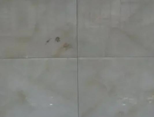 ʮ��ɴu���p��Ʒ�����а񣬰ٵôɴu���p�����¸ߴɴu���p���|�кܺ�