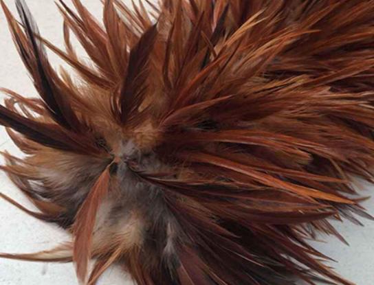 ʮ���uë����Ʒ�����У��軨�uë����֪���ȸߡ���uë������������