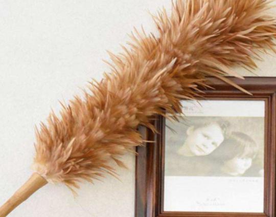 ʮ���uë����Ʒ�����У��軨�uë����֪���ȸߡ���uë������������