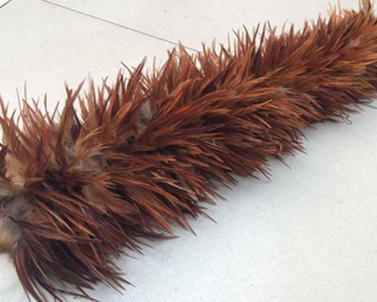 ʮ���uë����Ʒ�����У��軨�uë����֪���ȸߡ���uë������������