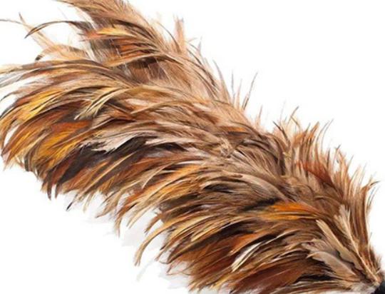 ʮ���uë����Ʒ�����У��軨�uë����֪���ȸߡ���uë������������