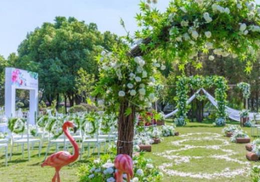 ��ʲôӆ��Y�鲻���ꣿӆ����ʲô�r��Ŀ�