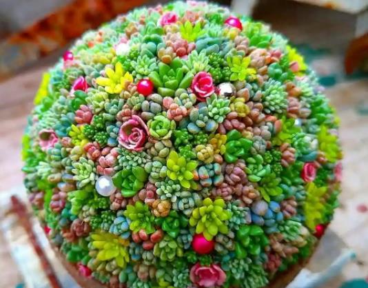 �����кڰ�����ô���£����������~Ƭ��Ҫ�ε��