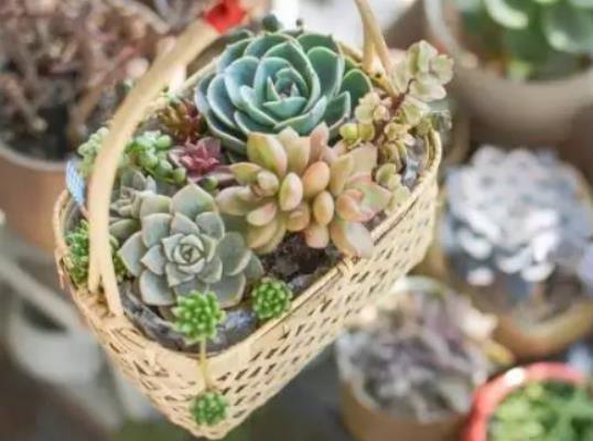 ����ڵ�������ô�޸������������۵����_ʹ�÷���