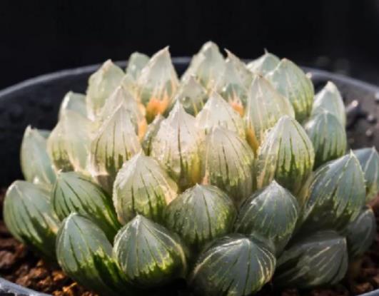 ��_��ֻ��ɢ����ô�B���⣿����׌����M����^Σ�U�ķ�����